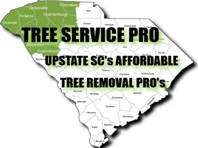 Greenville Tree Service Find Affordable Tree Removal Near Me